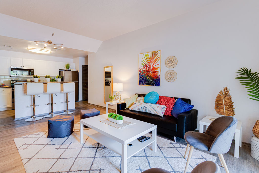 eclectic colorful living room design best usf off-campus housing