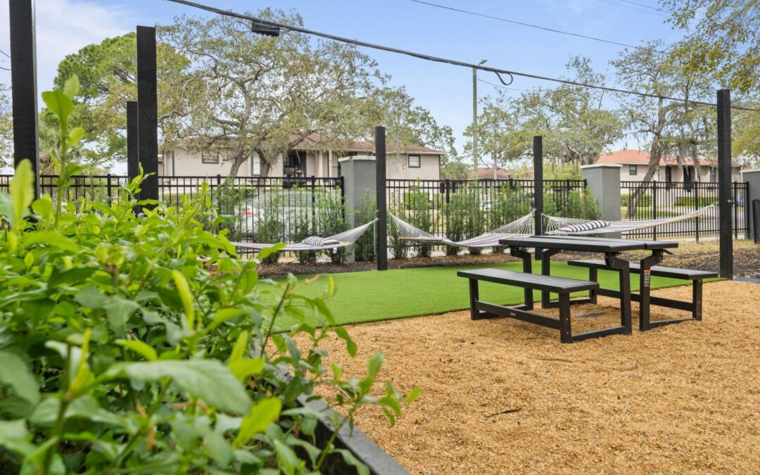 Fall in Tampa: 7 Must-Do Activities Near Tampa FL Student Apartments