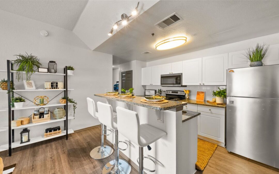 Affordable Date Ideas Near Tampa FL Student Apartments for Valentine’s Season