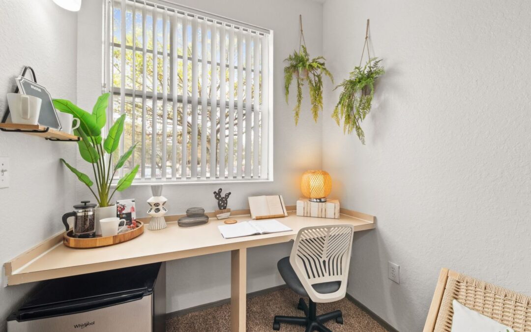 Midsemester Reset for Tampa FL Student Housing
